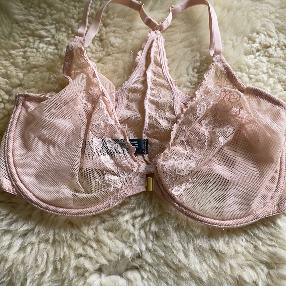 blush pink unlined natori cherry blossoms bra 32DD